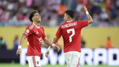 رحيل تريزيجيه, محمود تريزيجيه الأهلي, انتقالات الأهلي