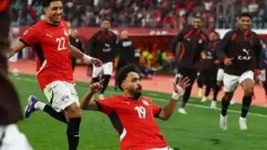 استقرار تشكيل منتخب