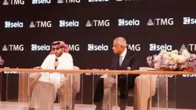 التطوير العقاري بمصر, الاستثمارات الصحراوية, المشاريع التنموية