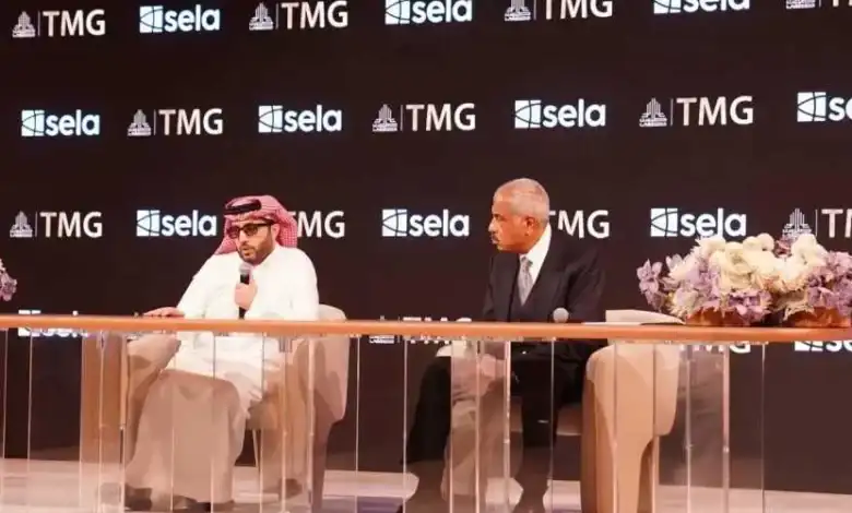 التطوير العقاري بمصر, الاستثمارات الصحراوية, المشاريع التنموية