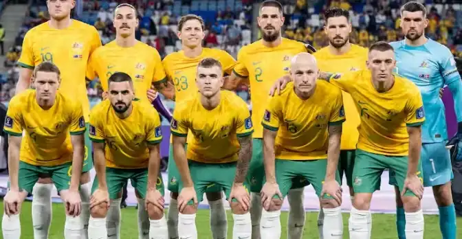 منتخب أستراليا, كأس العالم, إصابات اللاعبين