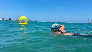 الأولمبياد الخاص, معسكرات تدريبية, الألعاب الإقليمية