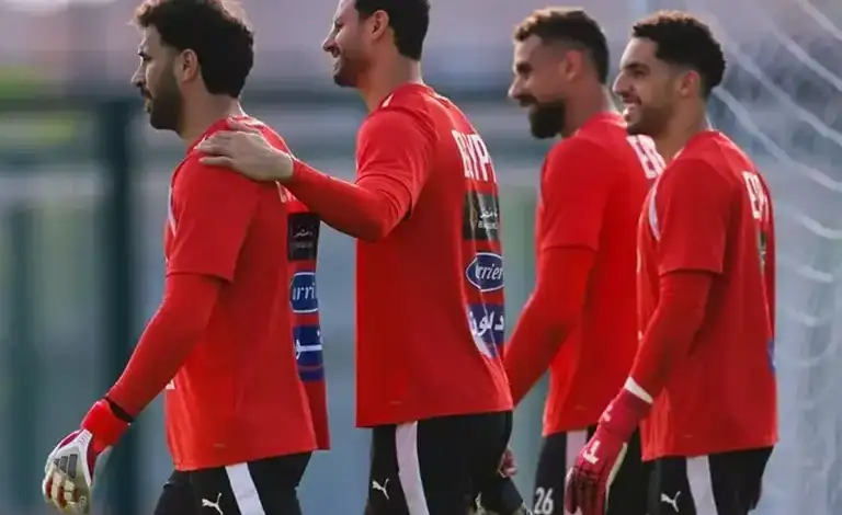 بين لائحة فيفا