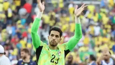 الأعلى تقييمًا بين