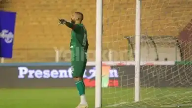 تجديد عقد عامر عامر