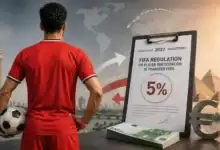 فيفا يقر مادة