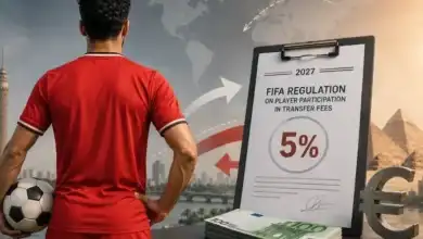 فيفا يقر مادة