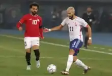 مواجهات مصر وبلجيكا