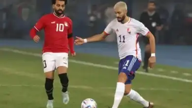 مواجهات مصر وبلجيكا