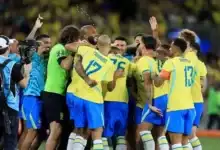 منتخب البرازيل يدخل