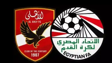 الأهلي, لجنة التراخيص, الرخصة المحلية