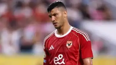 انتقادات محمد شبانة