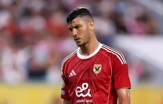 انتقادات محمد شبانة