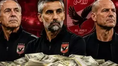 أكثر ملايين دولار..