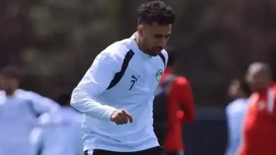 محمود حسن تريزيجيه, مباراة بلجيكا, حسام حسن