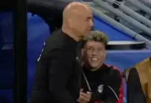 منتخب مصر, حسام حسن, أحمد شوبير