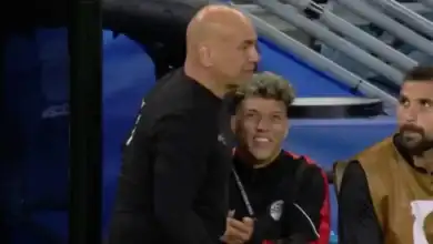 منتخب مصر, حسام حسن, أحمد شوبير