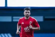 حسام حسن, محمود حسن تريزيجيه, كأس العالم