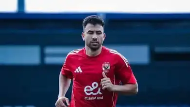 حسام حسن, محمود حسن تريزيجيه, كأس العالم