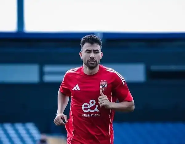 حسام حسن, محمود حسن تريزيجيه, كأس العالم
