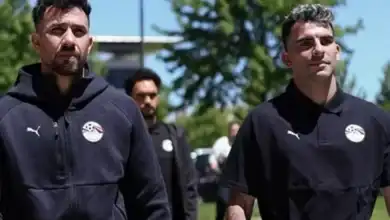 زيكو ودونجا وتريزيجيه..