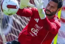 منتخب مصر, حسام حسن, مواجهة أستراليا