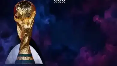 7 ساعات انتظار وكلاب بوليسية.. ماذا يحدث لمنتخبات كأس العالم؟