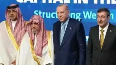 تركز الثروة والديون السيادية