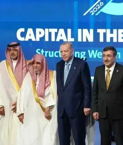 تركز الثروة والديون السيادية