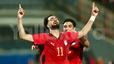 منتخب مصر كأس العالم, حسام حسن, زيكو والكرة المصرية