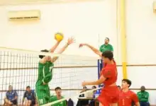 بطولة أفريقيا للناشئين, الكرة الطائرة, منتخب الجزائر