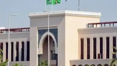 ميناء دمياط, الخارجية السعودية, الهجوم على السفن