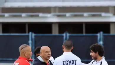 منتخب مصر, حسام حسن, كأس العالم