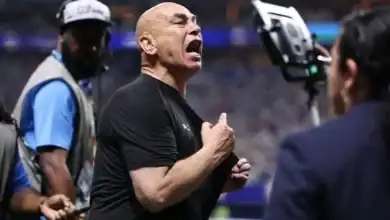 منتخب مصر, إبراهيم حسن, حسام حسن