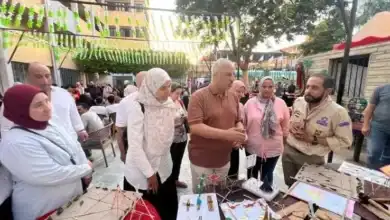 مبادرة صيفك عندنا, مراكز شباب الجيزة, وزارة الشباب والرياضة