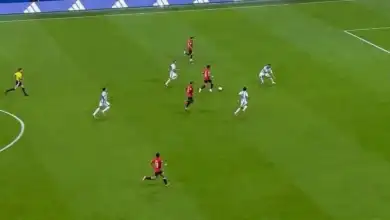 رضا عبد العال