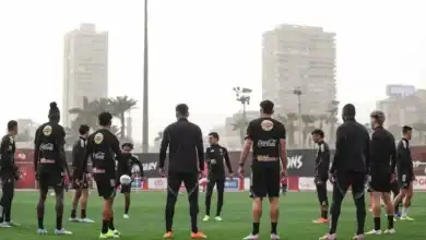 النادي الأهلي, سوق الانتقالات الصيفية, صفقات الأهلي