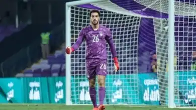 مصطفى شوبير