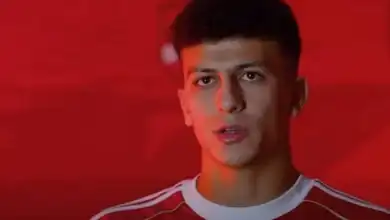 علي محمود, ودية لافيينا, النادي الأهلي