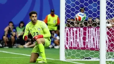 مصطفى شوبير