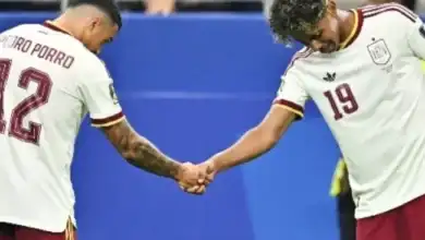 تشكيل أسبانيا, نهائي كأس العالم, مباراة الأرجنتين