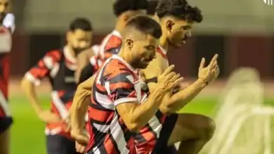 محمود تريزيجيه