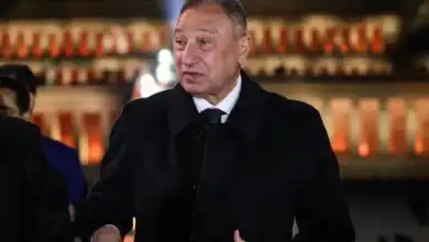 مصطفى شوبير, النادي الأهلي, حارس المرمى