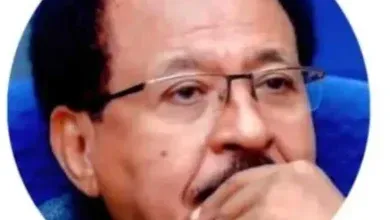 رواية رجل من زمن منعكس, سيف الدين حسن بابكر, الأدب السوداني