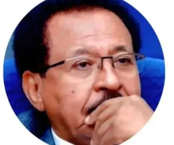 رواية رجل من زمن منعكس, سيف الدين حسن بابكر, الأدب السوداني