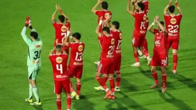 إعادة هيكلة الأهلي, الموسم الجديد, تجديد صفوف الفريق