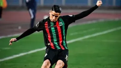 رضا سليم, أحمد شوبير, النادي الأهلي