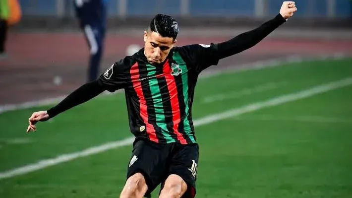 رضا سليم, أحمد شوبير, النادي الأهلي