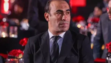 انتقالات الأهلي, صن داونز, الانتقالات الصيفية
