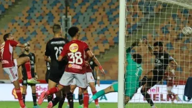 الأهلي المصري, يونس عبد اللاوي, فاليرينيجا النرويجي